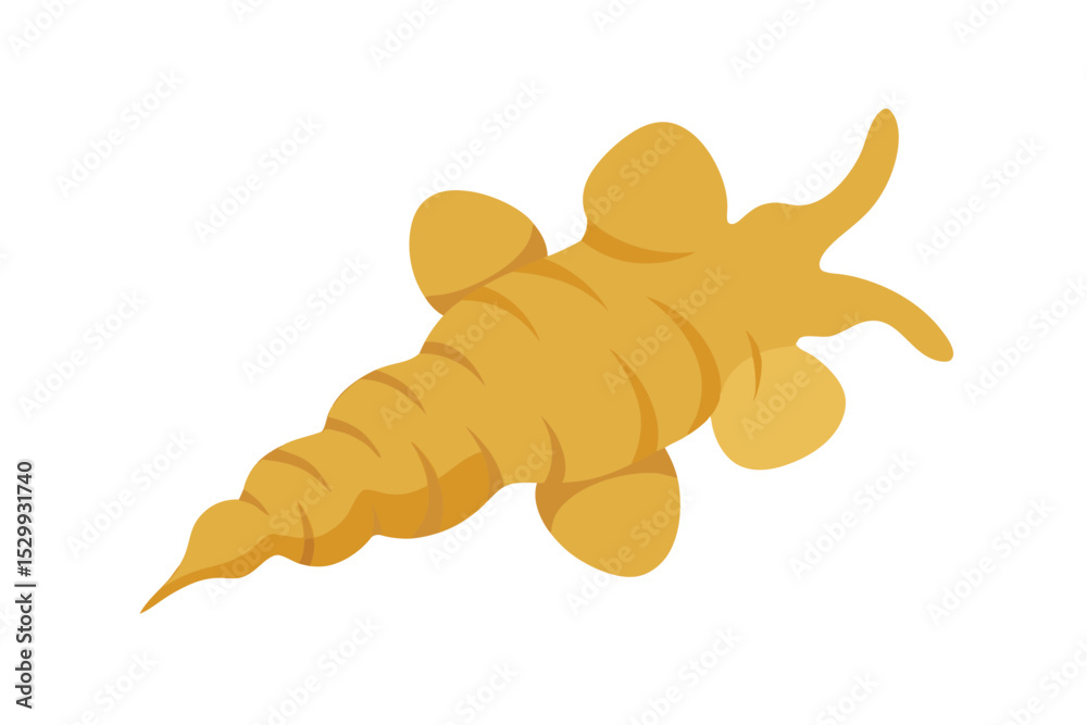 Naklejka premium Ginger Root Isolated