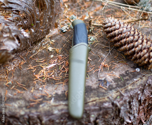 a fix knife in a sheath in the forest, on a stump