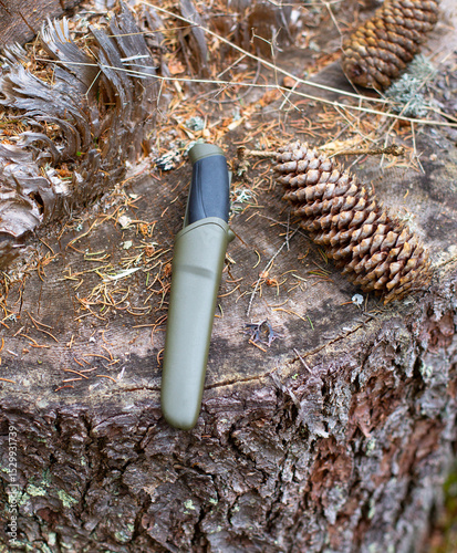 a fix knife in a sheath in the forest, on a stump