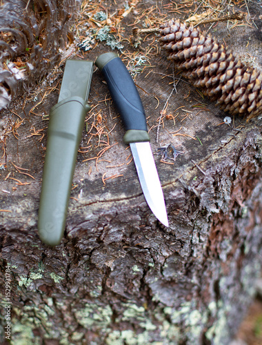 a fix knife with a sheath in the forest, on a stump