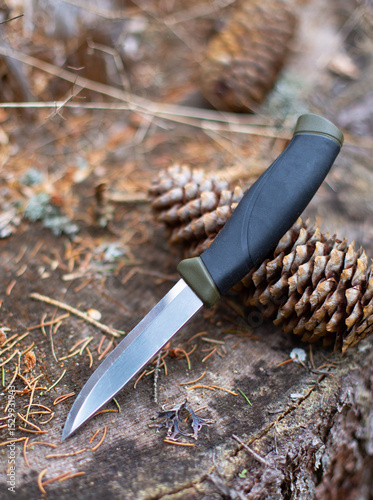 a fix knife in the forest, on a stump