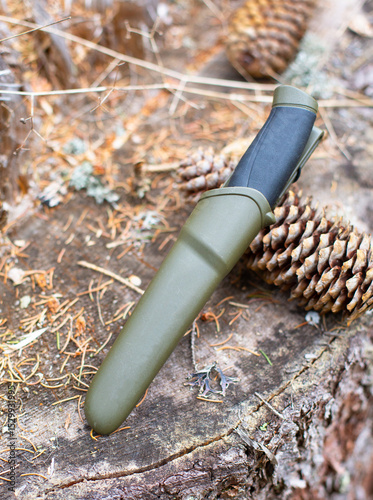 a fix knife in a sheath in the forest, on a stump