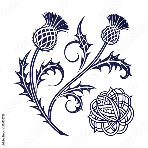 Elegant Thistle Floral Design  Vector Illustration of Scottish Thistle Flowers and intricate Knotwork