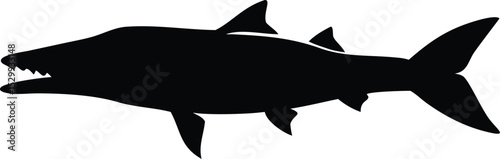 barracuda fish silhouette 