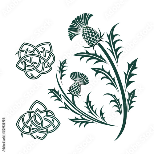 Elegant Thistle and Celtic Knot Illustration A Fusion of Nature and Heritage