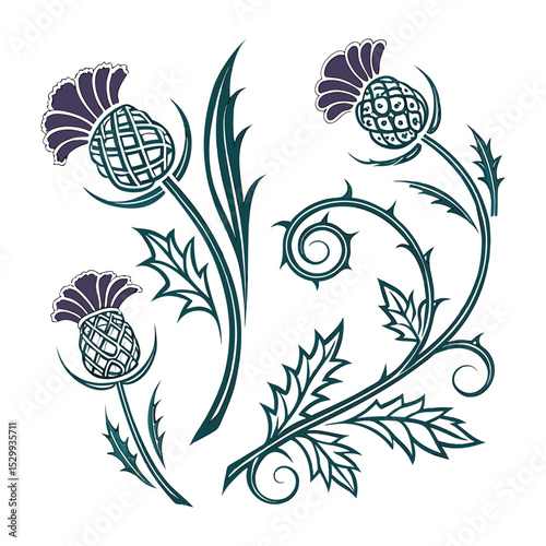 Elegant Thistle Floral Design A Collection of Artistic Thistle Illustrations
