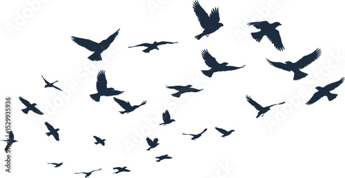 A flock of birds silhouetted against a bright white and clear background