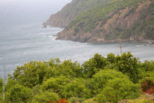 Fototapeta Naklejka Na Ścianę i Meble -  Nature forest sea beach landscape