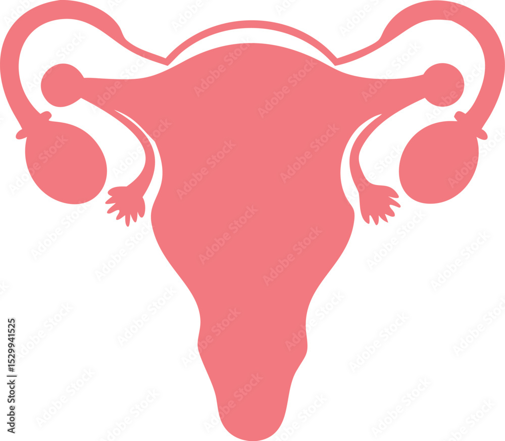 Obraz premium Female reproduction system anatomy silhouette design vector illustration