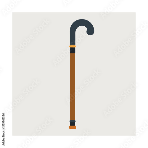 Two vector walking sticks with colorful handles depicted on a light grey background