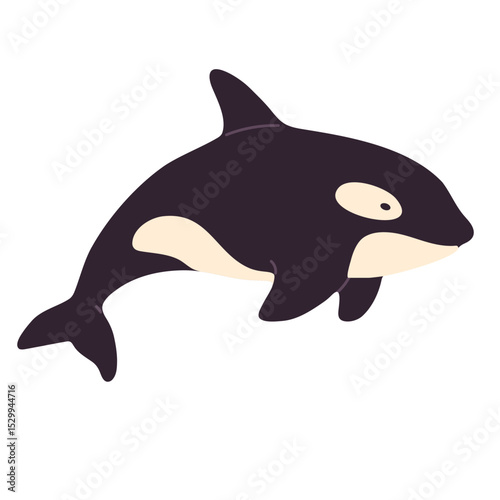 Whale isolated on white background, shown in side view, ideal for marine wildlife, ocean-themed designs, or educational materials