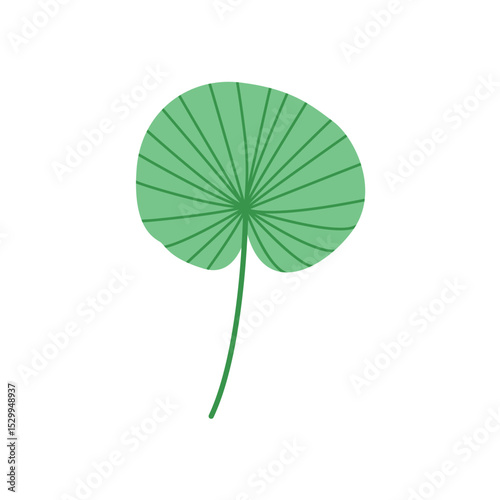 Lotus Style Tropical Leaf Green Botanical Vector Illustration