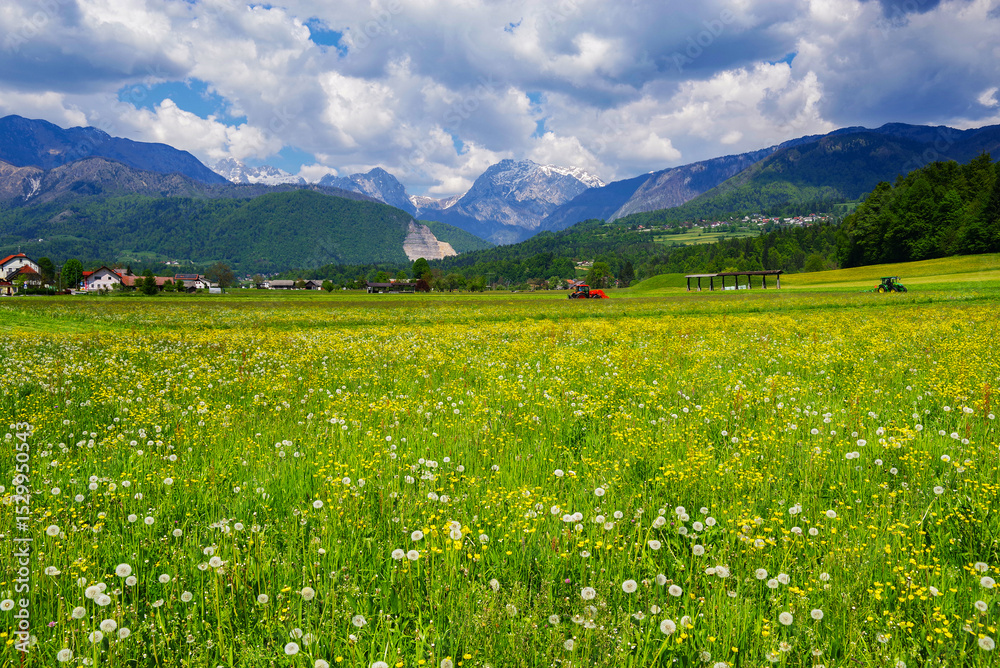 Obraz premium Tractor on a lawn in front of the Julian Alps, Kamnic, Slovenia, Europe 