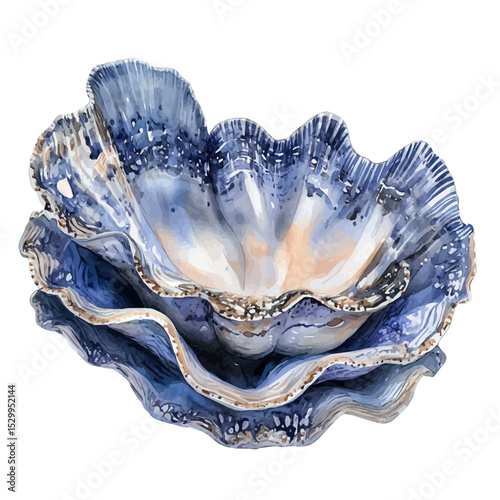 watercolor vector of Giant Clam Close Up, isolated on a white background.
