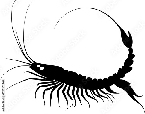 Silhouette of a Creepy Insect with Long Legs and Curved Tail