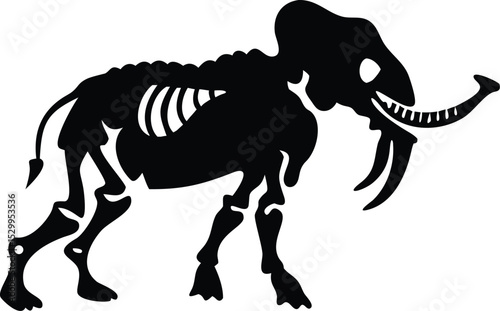 skeleton of elephant animal silhouette 