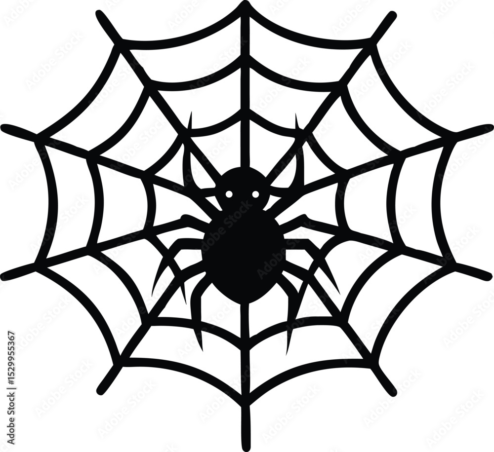 Fototapeta premium spider on web silhouette