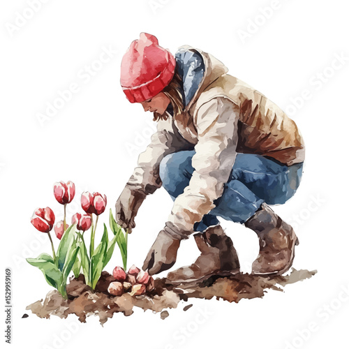 watercolor of Gardener Planting Tulip Bulbs, vector, isolated on a white background.