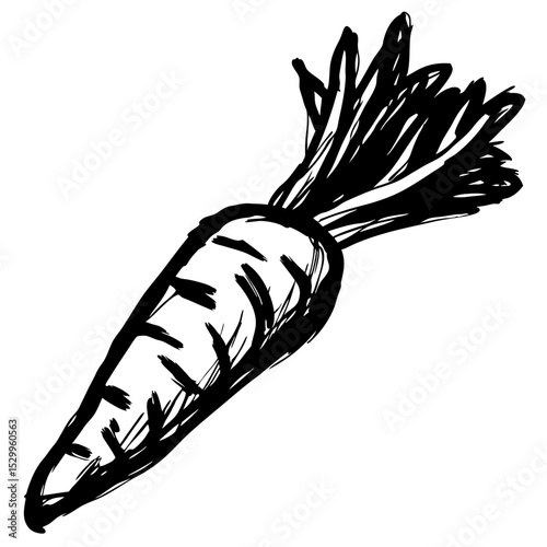 Hand-drawn carrot illustration in black and white style  