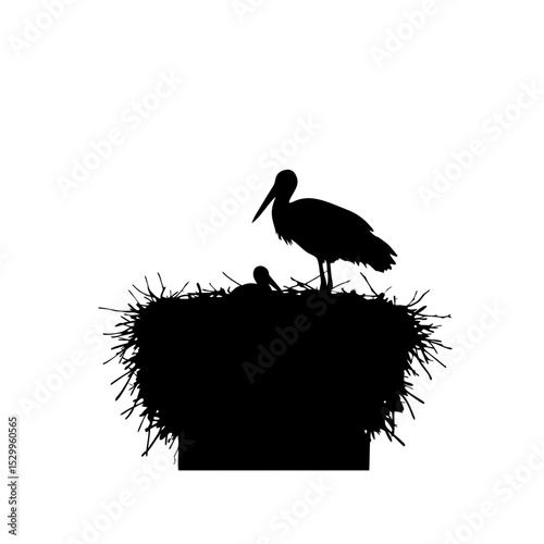 Stork standing in nest with chick silhouette on white background  