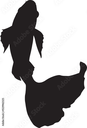silhouette of a fish with wings