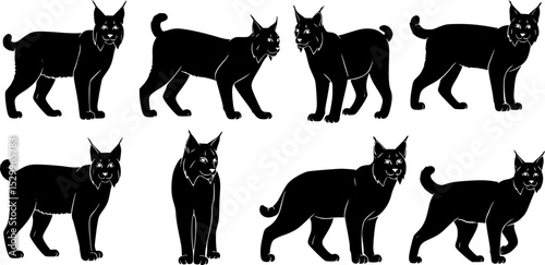 Collection of lynx and bobcat illustrations on a white background