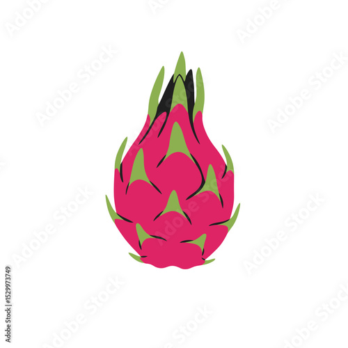 Dragon fruit vector illustration in vibrant colors. Exotic fruits, vegan and vegetarian food ingredients, flora biodiversity concept. Healthy snack