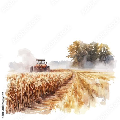 Foggy Morning Harvest Scene, watercolor vector, isolated on a white background.