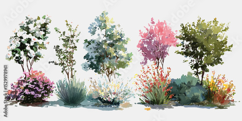 ornamental flowering bushes. Flowerbed with different blooming plants and flowers isolated on white background