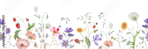Seamless watercolor border with wildflowers, wild strawberries. Hand painted floral background. Vector EPS.