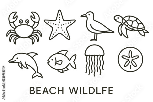 Beach Wildlife Icons. Line style icons of beach wildlife: crab, starfish, seagull, turtle, dolphin, fish, jellyfish, sand dollar.