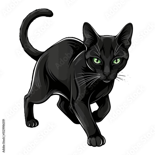 Black cat illustration isolated on white background