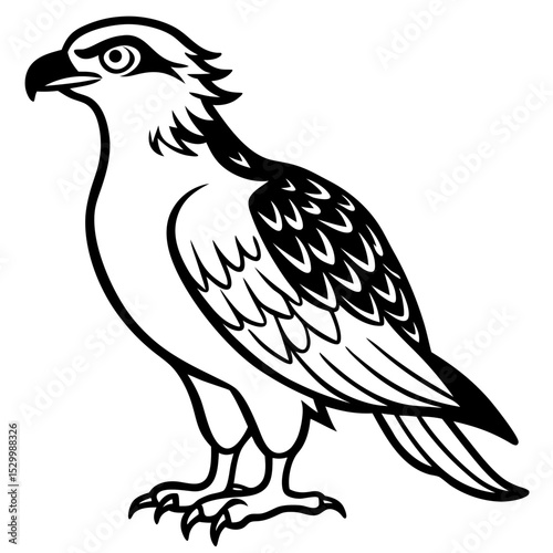 Minimal Osprey Vector on White Background