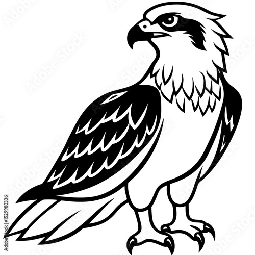 Minimal Osprey Vector on White Background