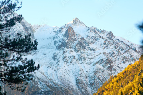 Fototapeta Naklejka Na Ścianę i Meble -  Stunning autumn scenery of famous alp peak Matterhorn capped by snow and yellowed larches on foreground. 