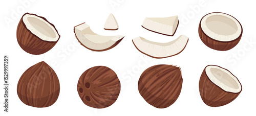 Coconuts and coconut half with leaves isolated on a white background. Vector illustration cartoon flat coconut icon isolated on white background.