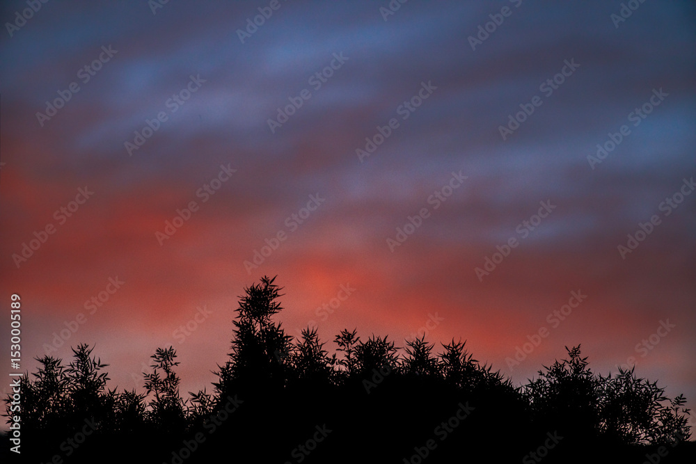 Fototapeta premium Sunset Silhouette 1