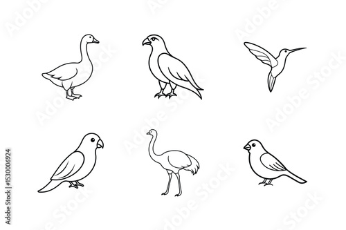 Birds collection in dynamic flight animal design set three Line Art Vector illustration