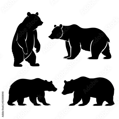 Bear silhouette set with forest wildlife and wild animal vector