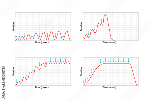 Types of Muscle Response Science Design. Vector Illustration.	