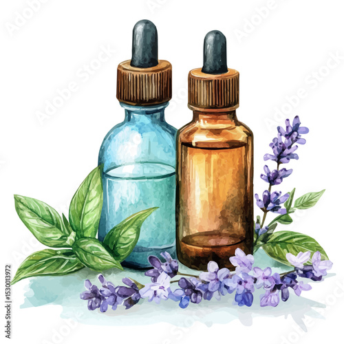 watercolor vector of Essential Oils, isolated on a white background.