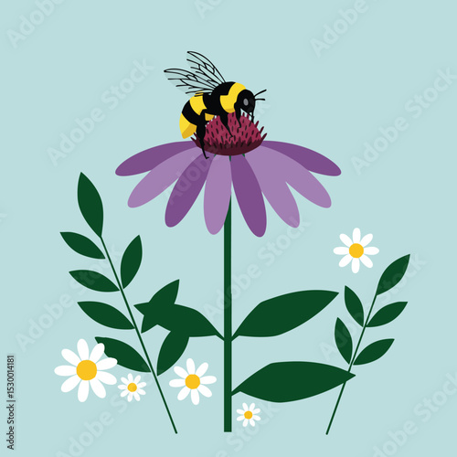 Bee collecting nectar on purple coneflower surrounded by green leaves and small white daisies vector illustration 