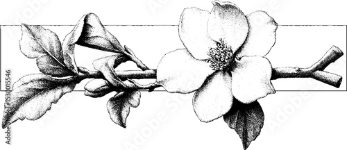 Apple blossom dotwork tattoo design featuring single flower on twig