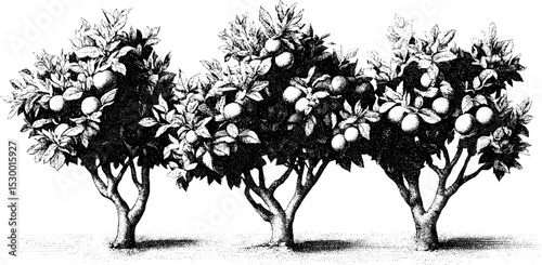 Autumn orchard with fallen leaves and scattered fruit
