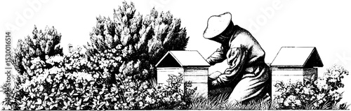 Beekeeper caring for hive boxes among blooming wildflowers