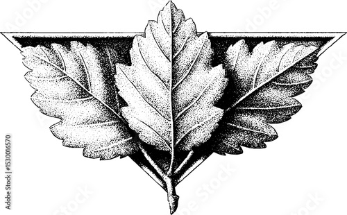 Artistic birch leaf with triangular shape design for nature themed decor
