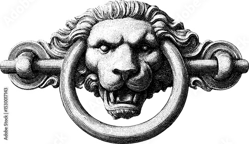 Cast iron door knocker featuring majestic lion head motif for home decor and antiques