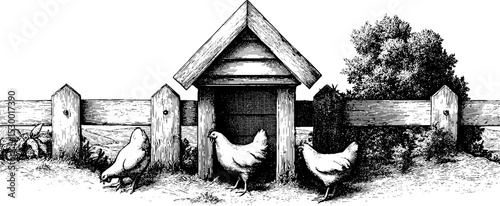 Free range chickens near rustic coop and fence in countryside setting