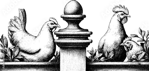 Rustic chicken coop design with free range hens near traditional fence