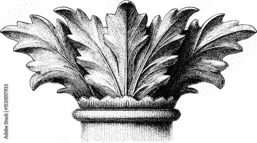 Corinthian capital acanthus leaf fragment in dotwork style for architectural design